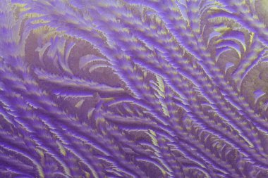 Güzel Yakın Çekim Kışlık Pencere Pane Kaplamalı Parlak Buz Kalıpları