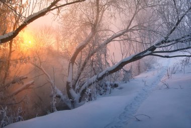 Kış manzarası, karla kaplı bir nehir kıyısı, buzullarla kaplı ağaçlar, sis ve nehrin üzerinde yükselen güneş.