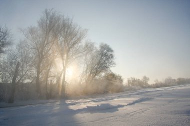 Kış manzarası, karla kaplı bir nehir kıyısı, buzullarla kaplı ağaçlar, sis ve nehrin üzerinde yükselen güneş.
