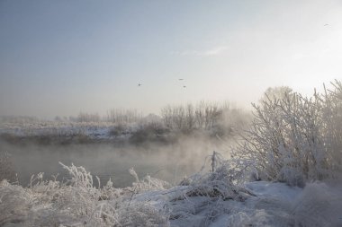 Kış manzarası, karla kaplı bir nehir kıyısı, karla kaplı ağaçlar, ve nehrin üzerinde sis.
