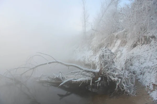 winter landscape with a tree fallen into the river, and trees on the banks covered with hoarfrost