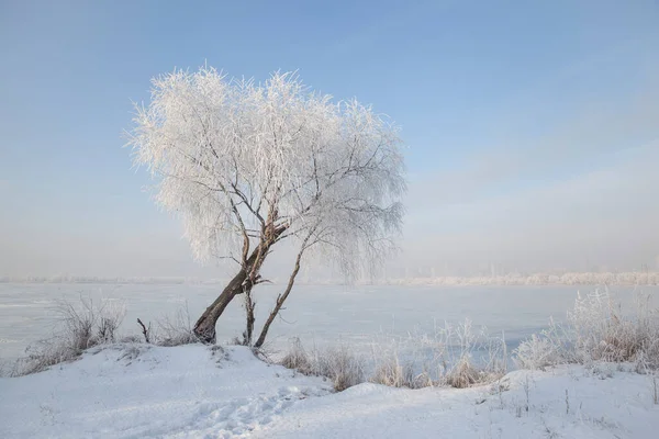 Winterlandschap Met Bomen Bedekt Met Steenvorst Aan Oever Van Een — Stockfoto