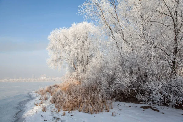 Winterlandschap Met Bomen Bedekt Met Steenvorst Aan Oever Van Een — Stockfoto