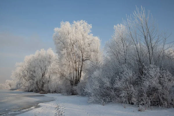 Winterlandschap Met Bomen Bedekt Met Steenvorst Aan Oever Van Een — Stockfoto