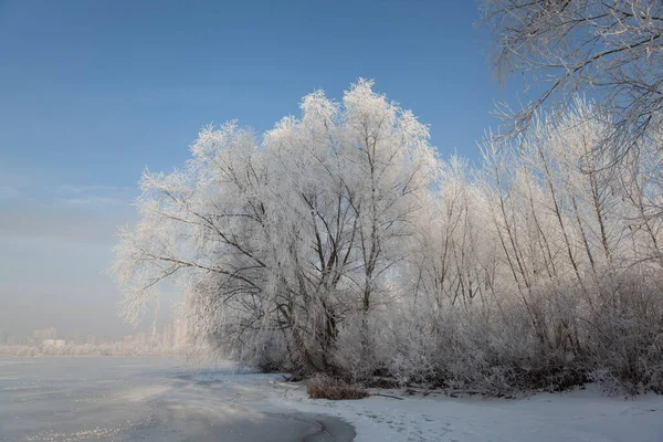 Winterlandschap Met Bomen Bedekt Met Steenvorst Aan Oever Van Een — Stockfoto