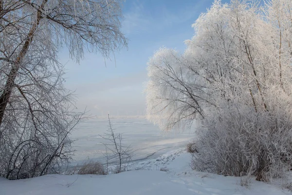 Vinterlandskap Med Snötäckt Flodstrand Träd Täckta Med Rimfrost Och Dimma — Stockfoto