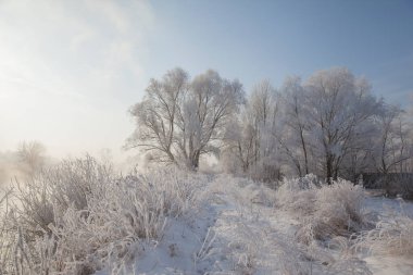 Kış manzarası, karla kaplı bir nehir kıyısı, karla kaplı ağaçlar, ve nehrin üzerinde sis.