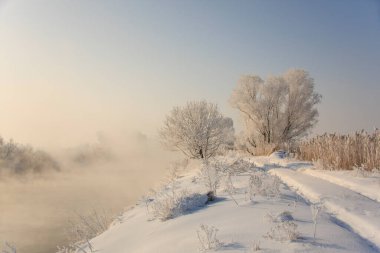 Kış manzarası, karla kaplı bir nehir kıyısı, karla kaplı ağaçlar, ve nehrin üzerinde sis.