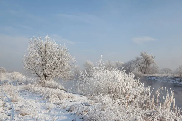 Winterlandschap Met Een Besneeuwde Rivieroever Bomen Bedekt Met Rietvorst Mist — Stockfoto