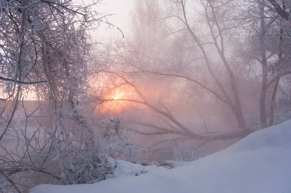 雪に覆われた川の岸 霜に覆われた木々 霧に覆われた冬の風景 川の上に昇る太陽 — ストック写真