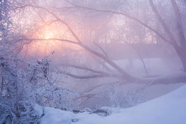 Uma Paisagem Inverno Com Uma Margem Rio Coberta Neve Árvores — Fotografia de Stock