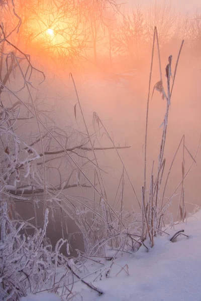 Χειμερινό Τοπίο Χιονισμένη Όχθη Ποταμού Δέντρα Καλυμμένα Παγετό Ομίχλη Και — Φωτογραφία Αρχείου