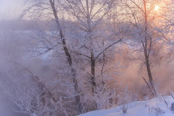 雪に覆われた川の岸 霜に覆われた木々 霧に覆われた冬の風景 川の上に昇る太陽 — ストック写真