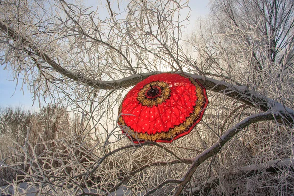 Красный Зонтик Висящий Ветвях Дерева Покрытых Инеем — стоковое фото