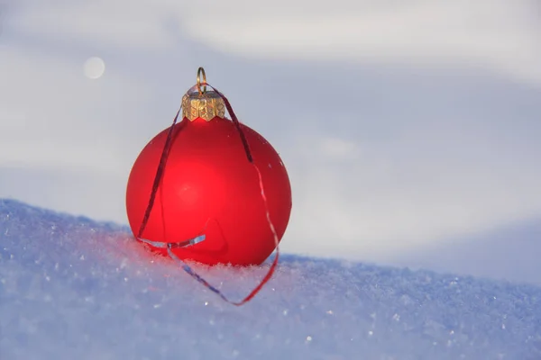 白い雪の上のクリスマスツリーのおもちゃの赤いボール — ストック写真