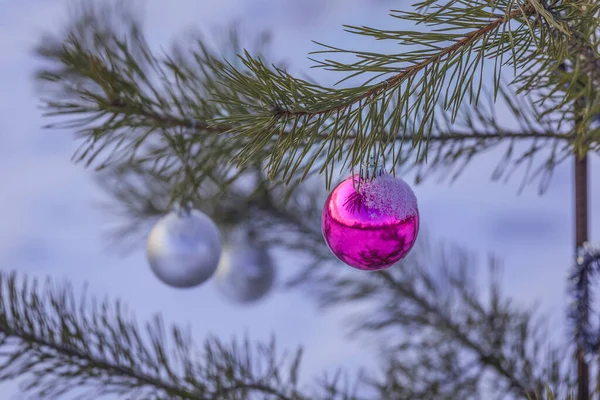 Brinquedos Natal Uma Árvore Coberta Geada — Fotografia de Stock