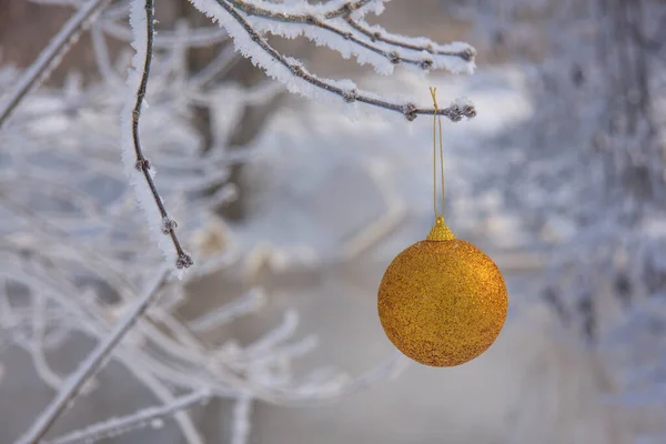 Рождественская Елка Золотой Шар Снежной Ветке — стоковое фото