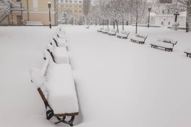 Parkta taze karla kaplı sıralı banklar. Kiev. Ukrayna     