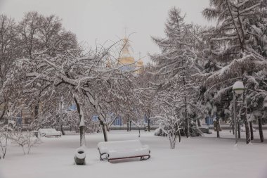 Kış parkı taze karla kaplı.