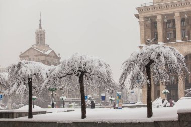 Karla kaplı evleri, ağaçları, arabaları olan kış şehirleri. Şehirde yoğun kar yağışı var. Kiev. Ukrayna. 