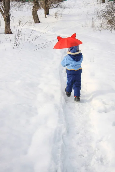 Malý Chlapec Kráčí Červeným Deštníkem Stezce Sněhu — Stock fotografie