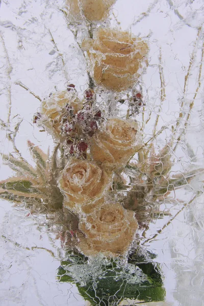 Крупным Планом Букета Роз Замороженных Глыбе Льда — стоковое фото