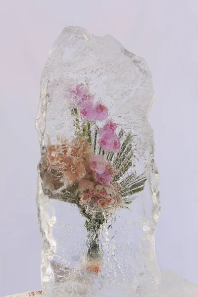 Крупный План Розовых Орхидей Замороженных Блоке Льда — стоковое фото