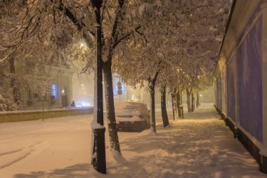 Karlı ağaçlar ve arabalar bir gece caddesinde