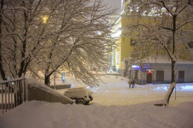 Karlı ağaçlar ve arabalar bir gece caddesinde