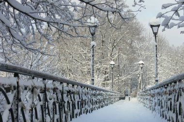Kış parkında sokak lambalarıyla kaplı karla kaplı yaya köprüsü