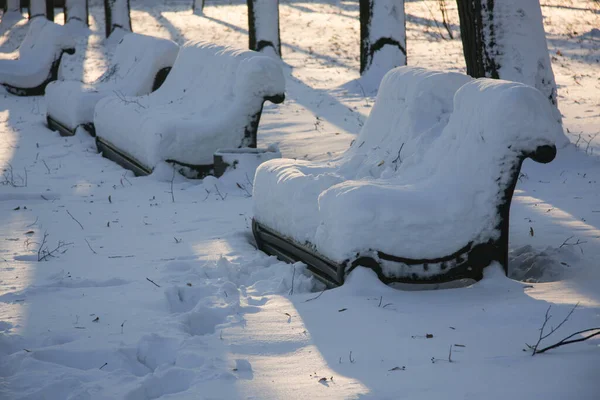 Bancs Enneigés Dans Parc Hiver — Photo