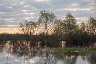 Akan bir nehirle bahar manzarası. Bahar seli