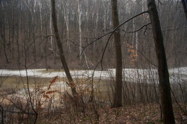 Baharın erken saatlerinde eski parkta göletli
