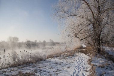 İlkbahar manzarası sisle kaplı bir nehir, nehir kıyısında eriyen kar, ağaçlar
