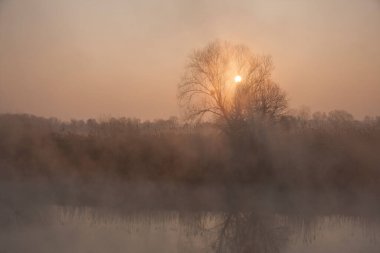 Bahar manzarası. Bahar nehrinin üzerinde şafak.