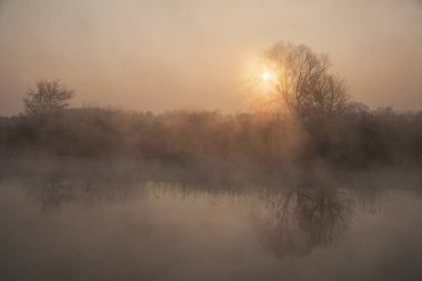 Bahar manzarası. Bahar nehrinin üzerinde şafak.