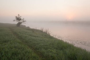 Baharda sisli bir gölün üzerinde şafak
