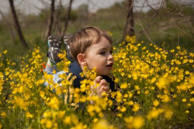 bahar parkında sarı çiçeklerin arasındaki çocuk
