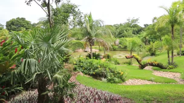 Jardín tropical en Santa Cruz, Bolivia — Vídeo de stock