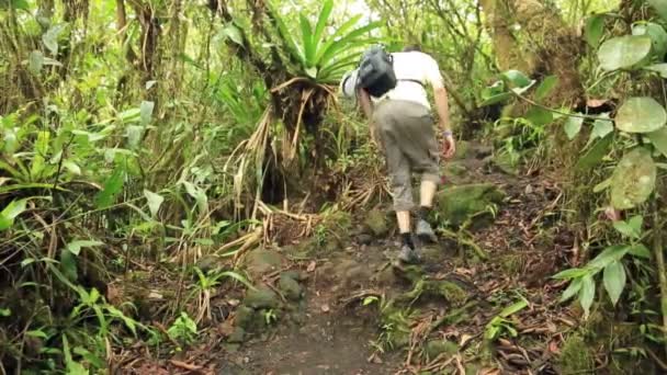 Turista caminando por la selva tropical — Vídeo de stock