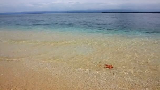 Playa de estrellas de mar, Bocas del Toro, Panamá — Vídeo de stock