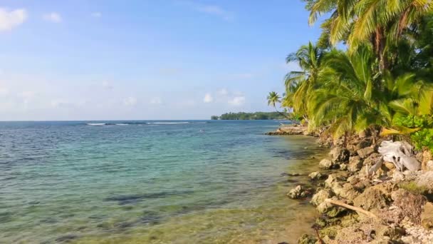 Plaży Boca del Drago, Panama — Wideo stockowe