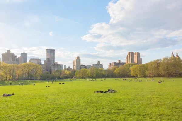 Parque central de Nueva York en un día soleado — Foto de Stock