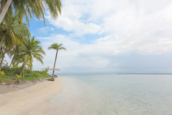 Starfish beach — Stock Photo, Image