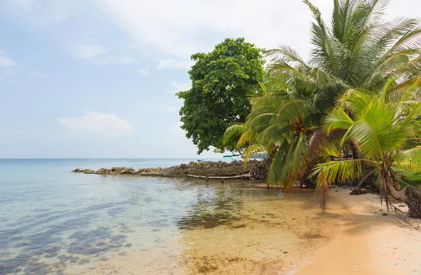 Plaży Boca del Drago, Panama — Zdjęcie stockowe