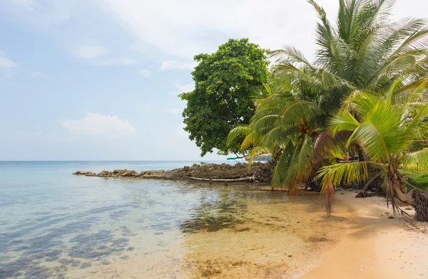 Pláž Boca del Drago, Panama — Stock fotografie