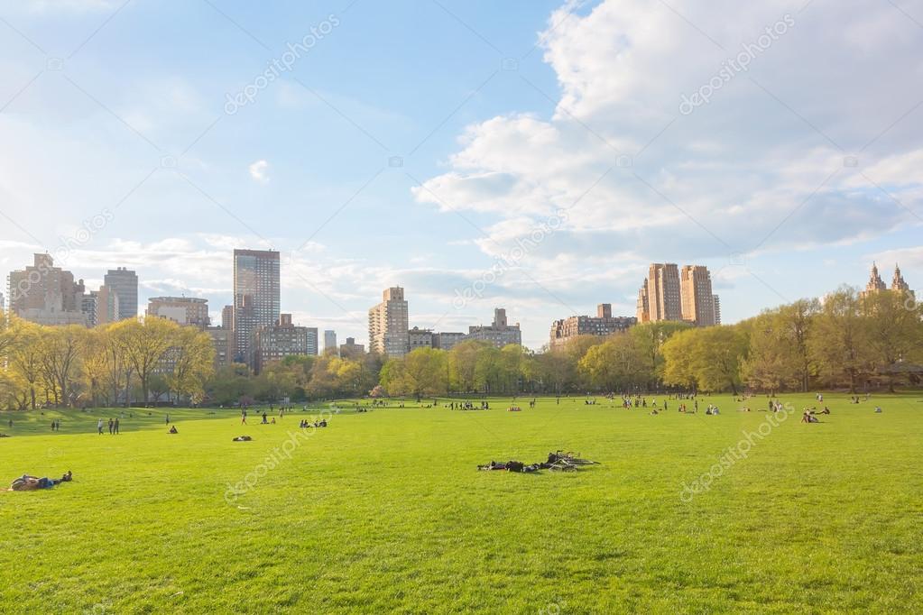 New York central park at sunny day