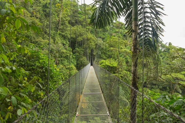 Hängbro, Costa Rica — Stockfoto