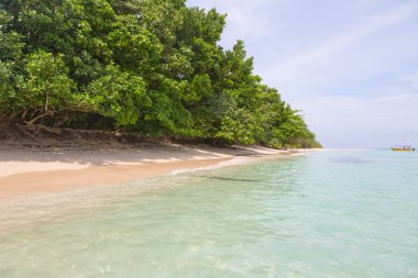 Beach adada Bocas del Toro, Panama