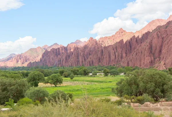 Landscape of colored mountains and green valley — Stock Photo, Image